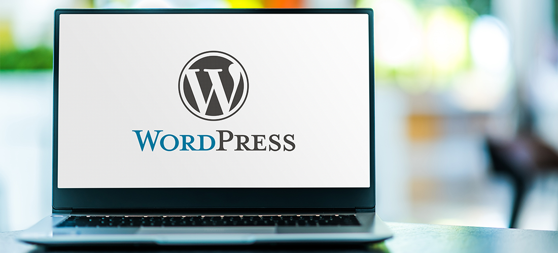 Millions of WordPress Sites at Risk Due to Plugin Script Injection Vulnerability